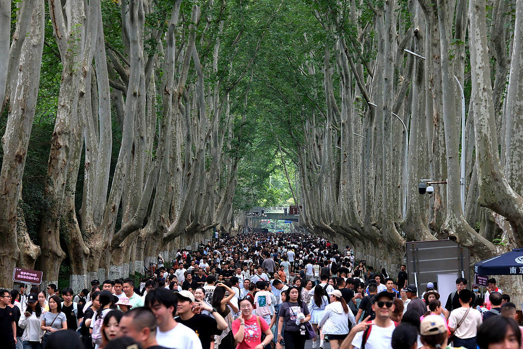 “苏超”引爆南京双节文旅，5天游客数已达去年长假九成